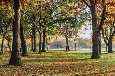 45 Gautier Ave #1, Jersey City, NJ 07306 - Photo 20