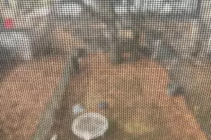 201 Chestnut St N, Kearny, NJ 07032 - Photo 12