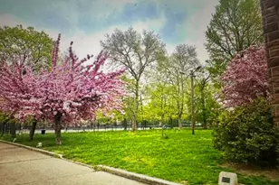 181 South St, Jersey City, NJ 07307 - Photo 20
