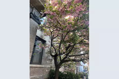 1009 Willow Ave #1L, Hoboken, NJ 07030 - Photo 30