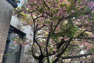 1009 Willow Ave, Hoboken, NJ 07030 - Photo 30