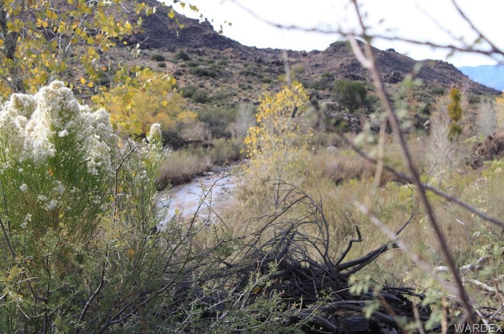 15827 Silver Springs Rd, Kingman, AZ 86401-7911
