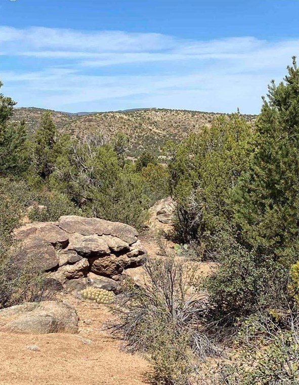 3825 Santa Cruz Rd, Kingman, AZ 86413-9444