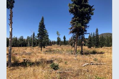 259.83 Ac North Fork #Below Navajo Lake - Photo 1