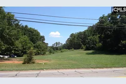235 Columbia Avenue, Chapin, SC 29036 - Photo 1