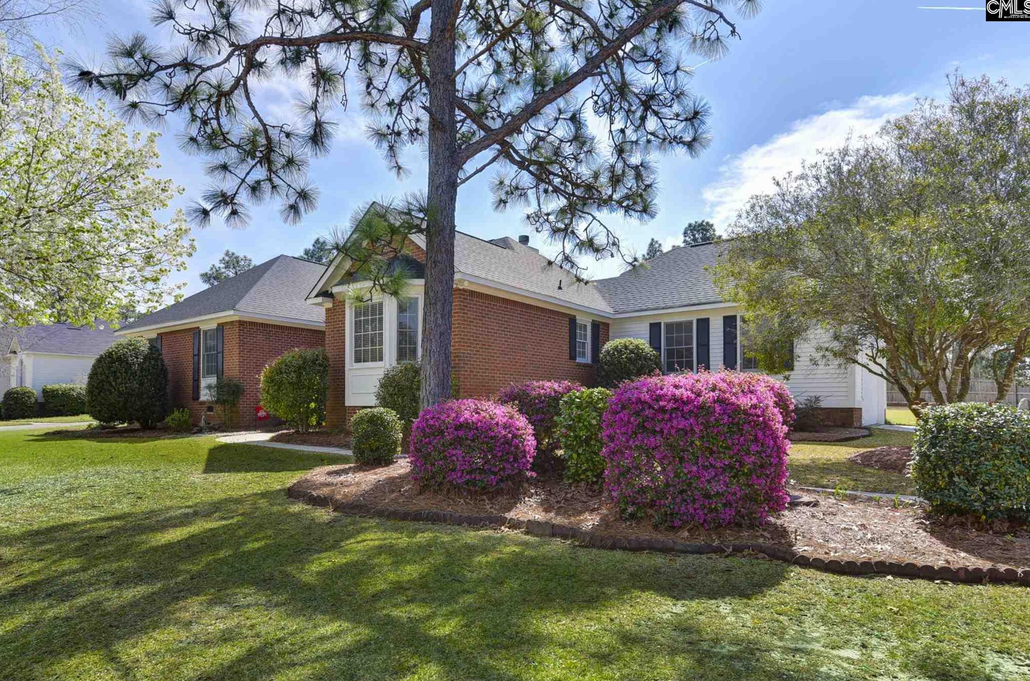217 Rainsborough Way, Columbia, SC 29229-8870