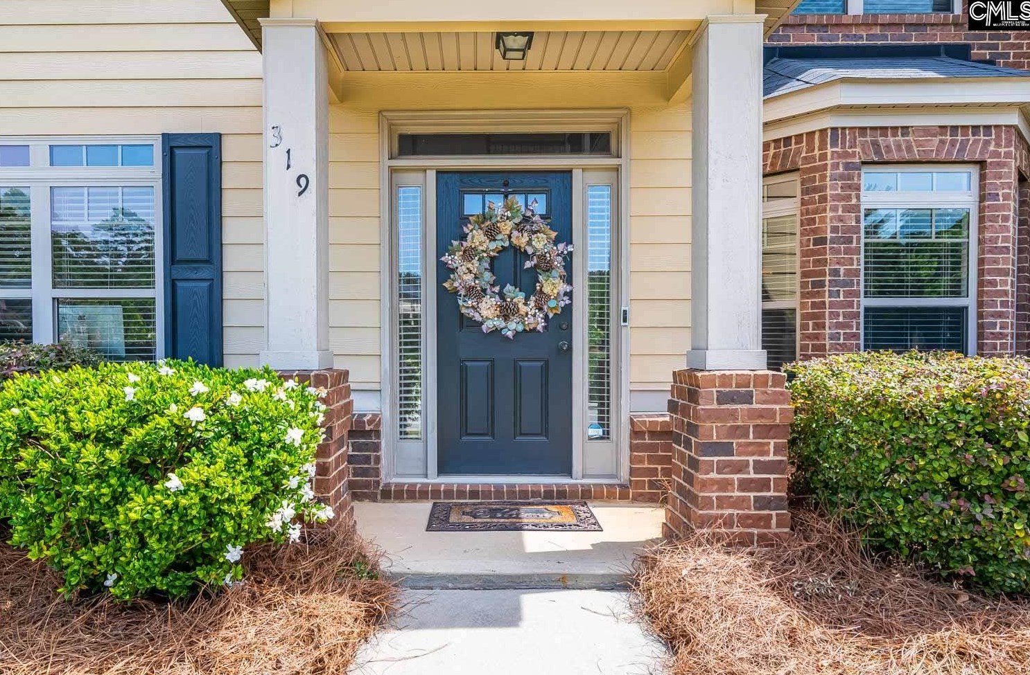 319 Spillway Ct, Lexington, SC 29072