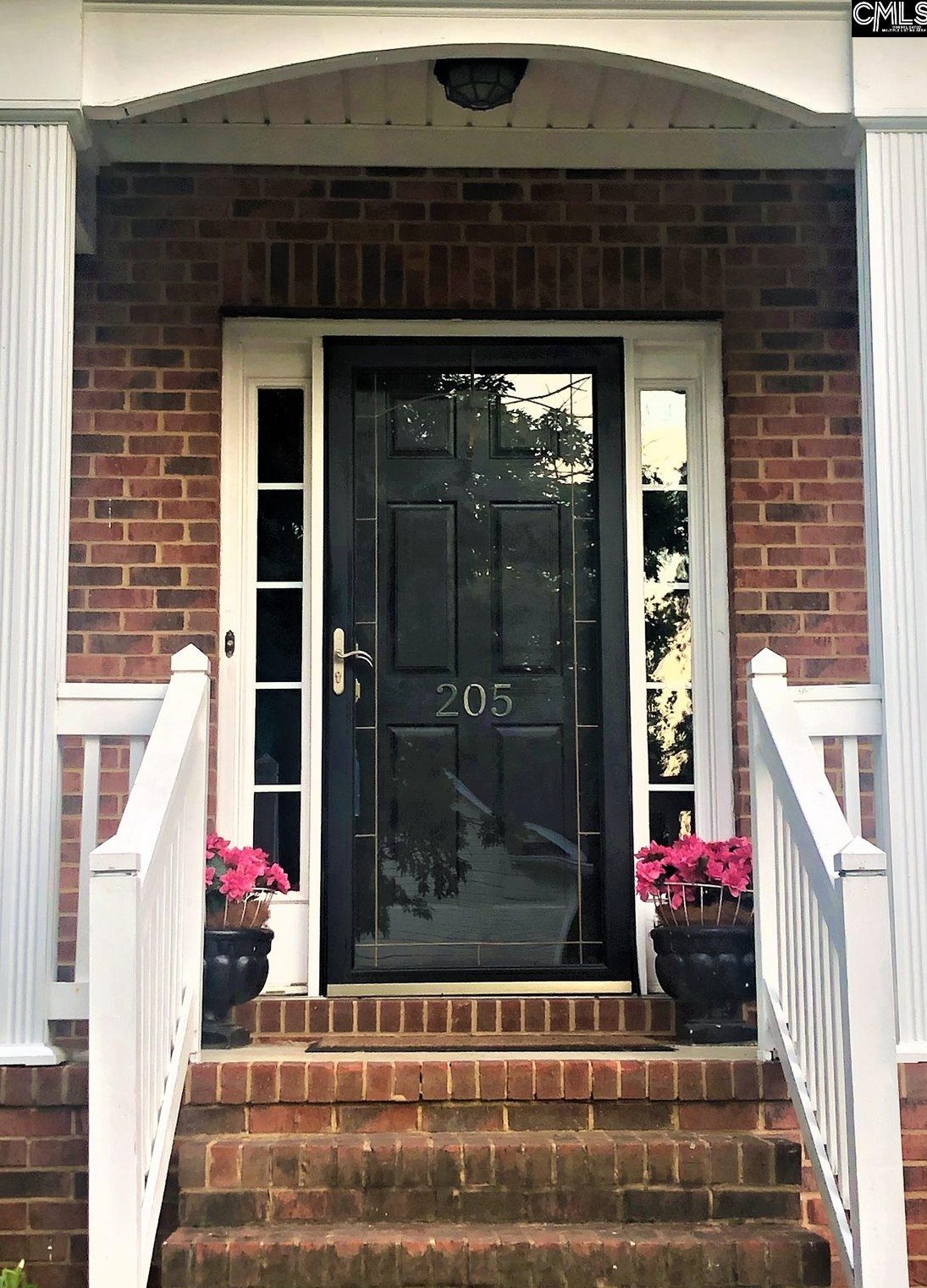 205 Beltrees Dr, Lexington, SC 29072
