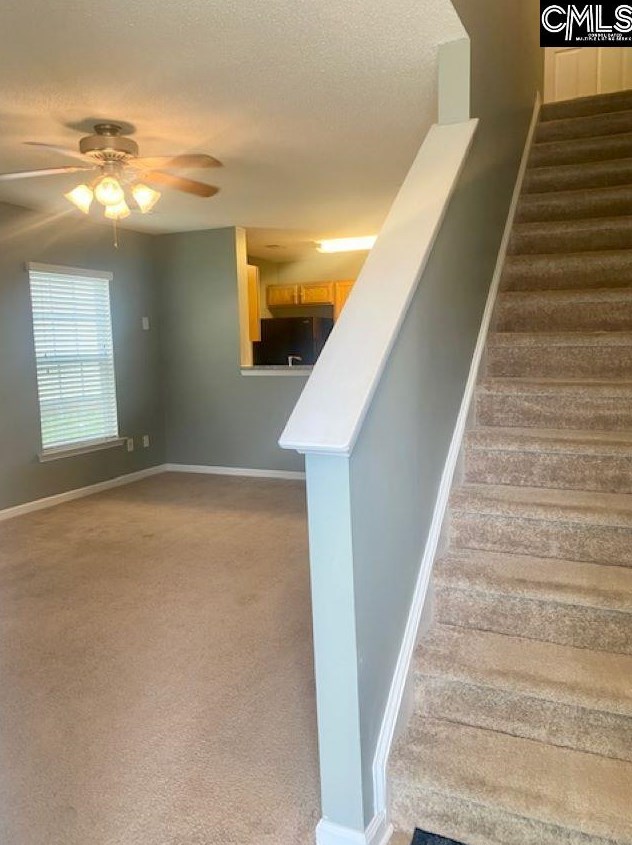 336 Bracken Dr, Lexington, SC 29072