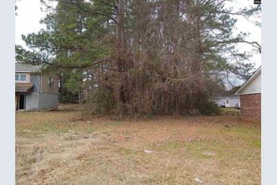 Highway 321, Winnsboro, SC 29180 - Photo 1