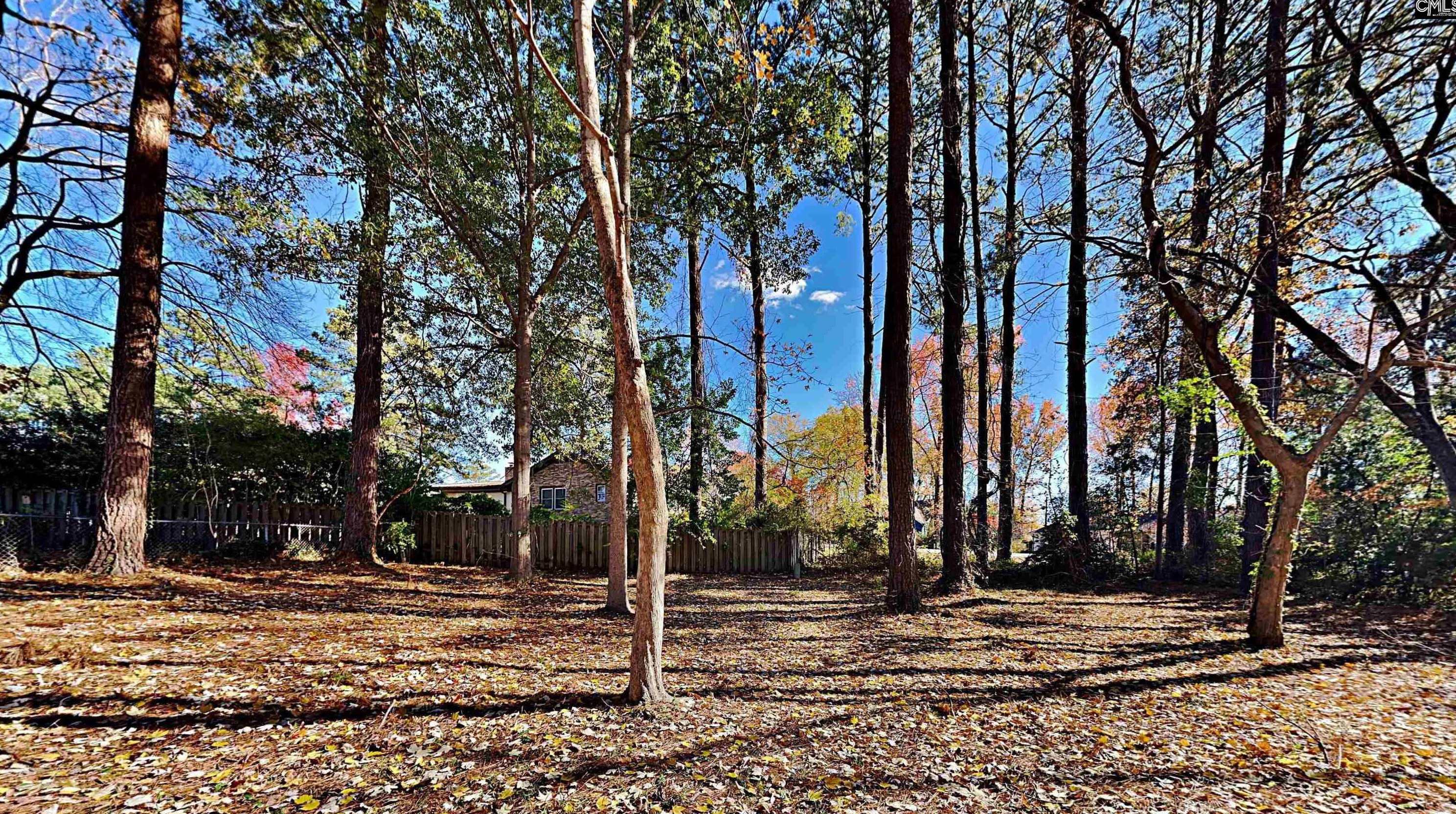 1421 Creekview Dr, Columbia SC  29212-1105 exterior