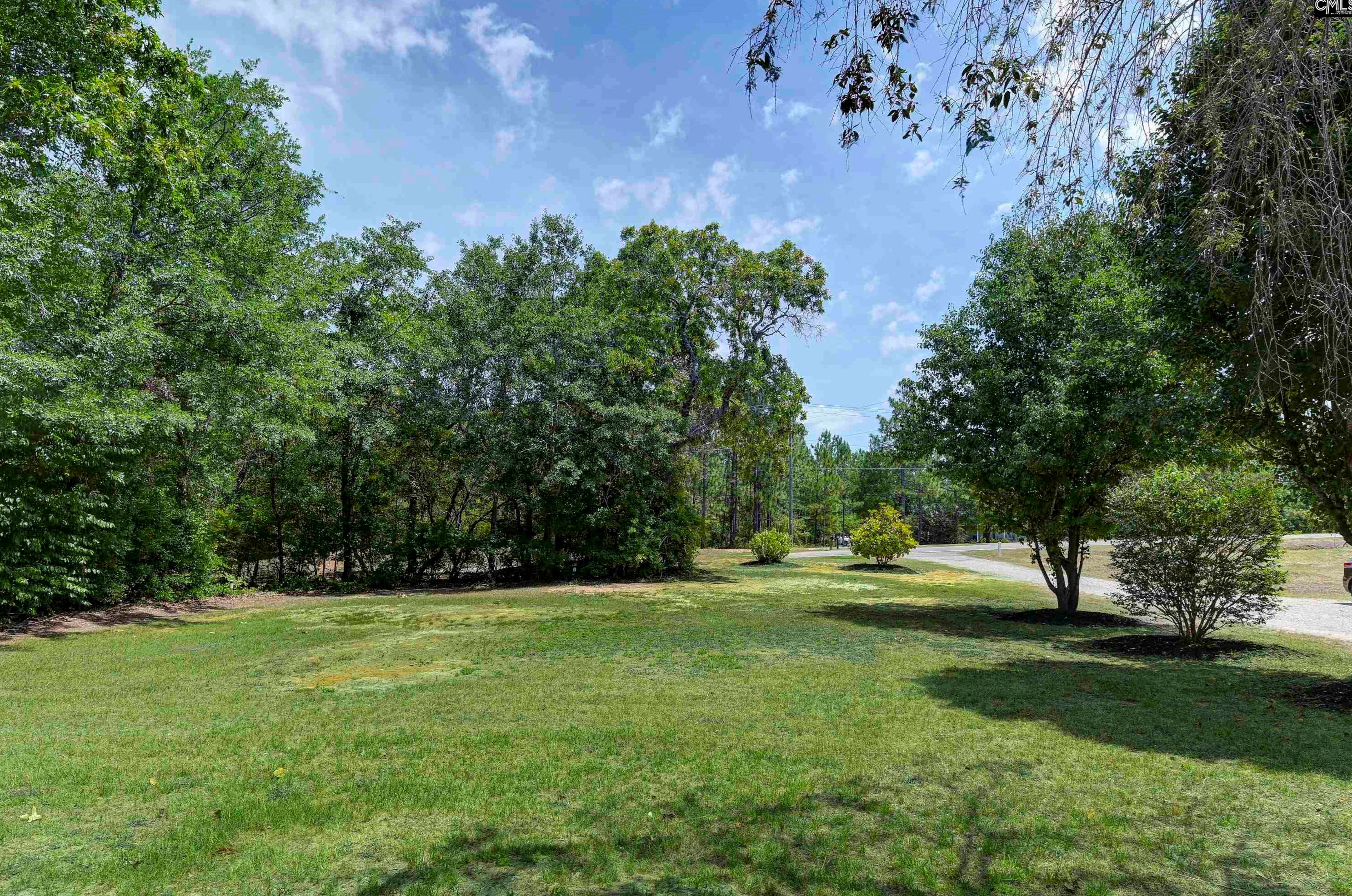 144 Forts Pond Rd, Pelion, SC 29123