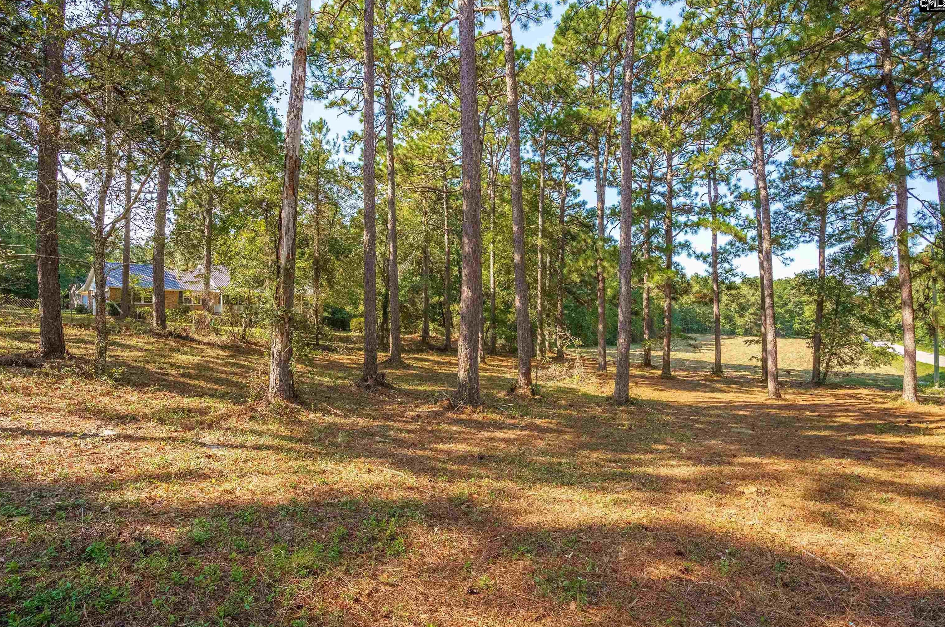 625 Pleasant View Dr, Lexington, SC 29073