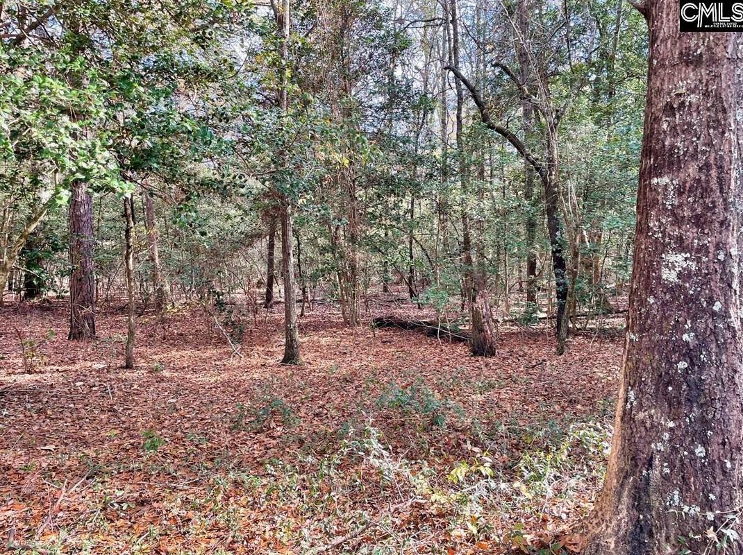 1392 Valley Ridge Rd, Gaston, SC 29053