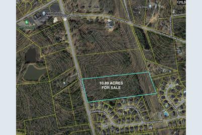Dreher Shoals Road, Irmo, SC 29063 - Photo 1