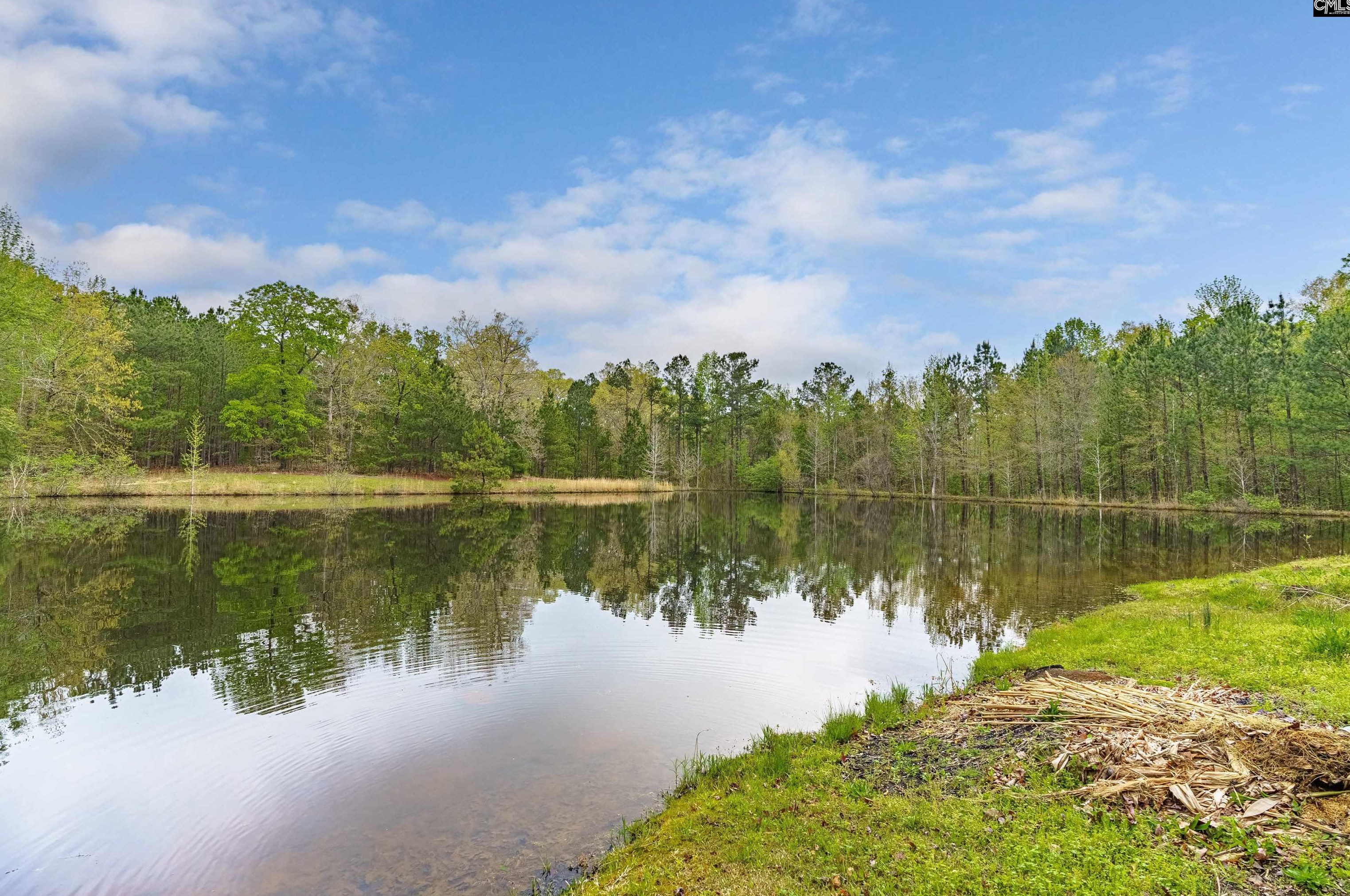 1805 Lorick Rd, Blythewood, SC 29016