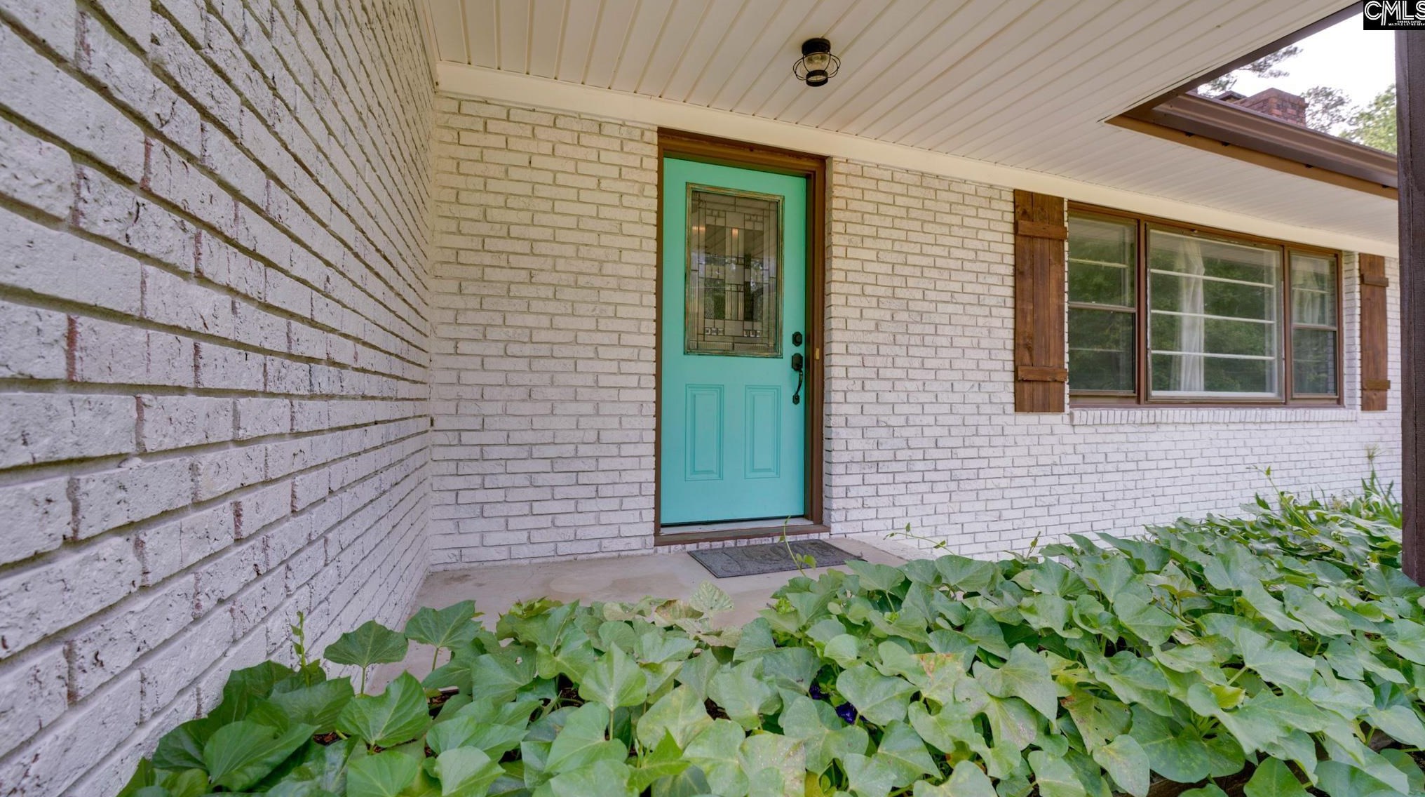 226 Mitchell St, Batesburg-Leesville, SC 29006-1417
