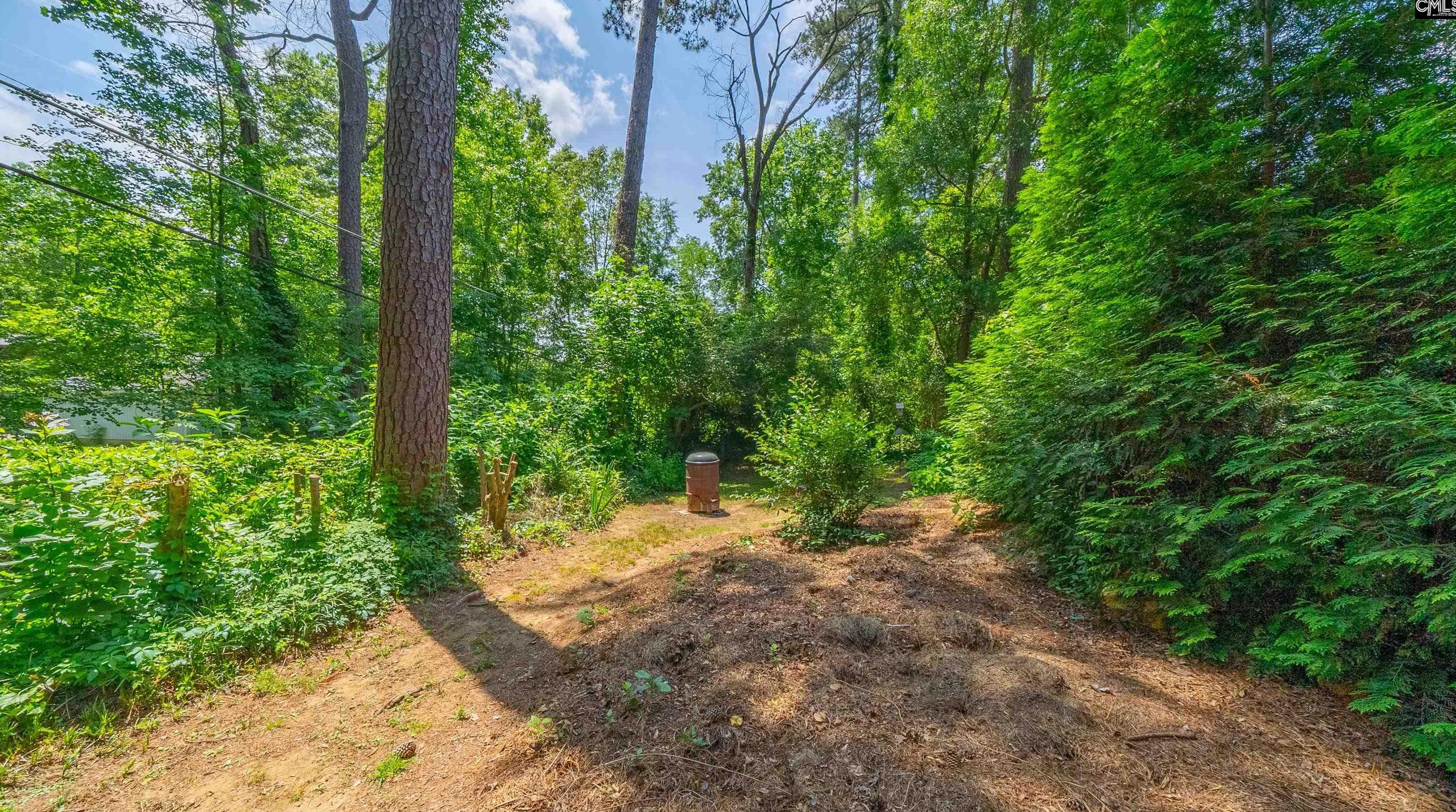 342 Lewisham Rd, Columbia SC 29210-3711 exterior