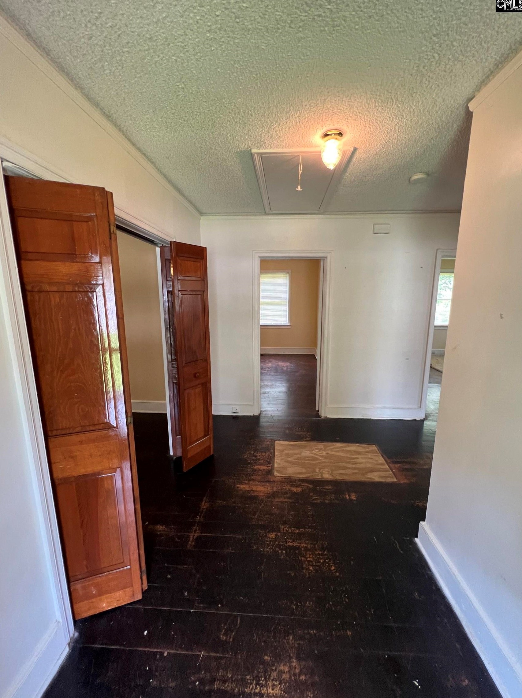 5313 Randall Ave, Columbia SC 29203-5314 exterior