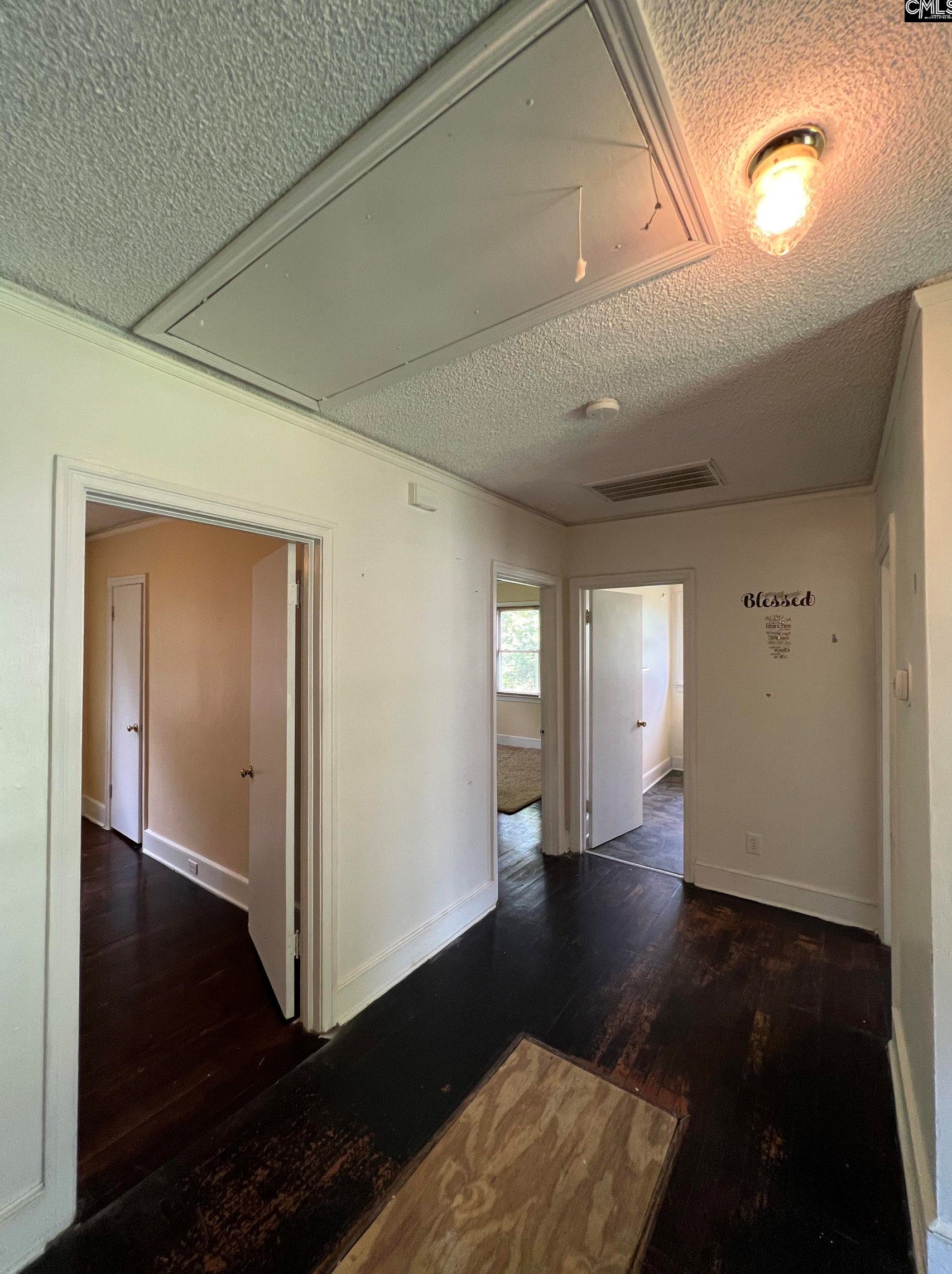 5313 Randall Ave, Columbia SC 29203-5314 exterior