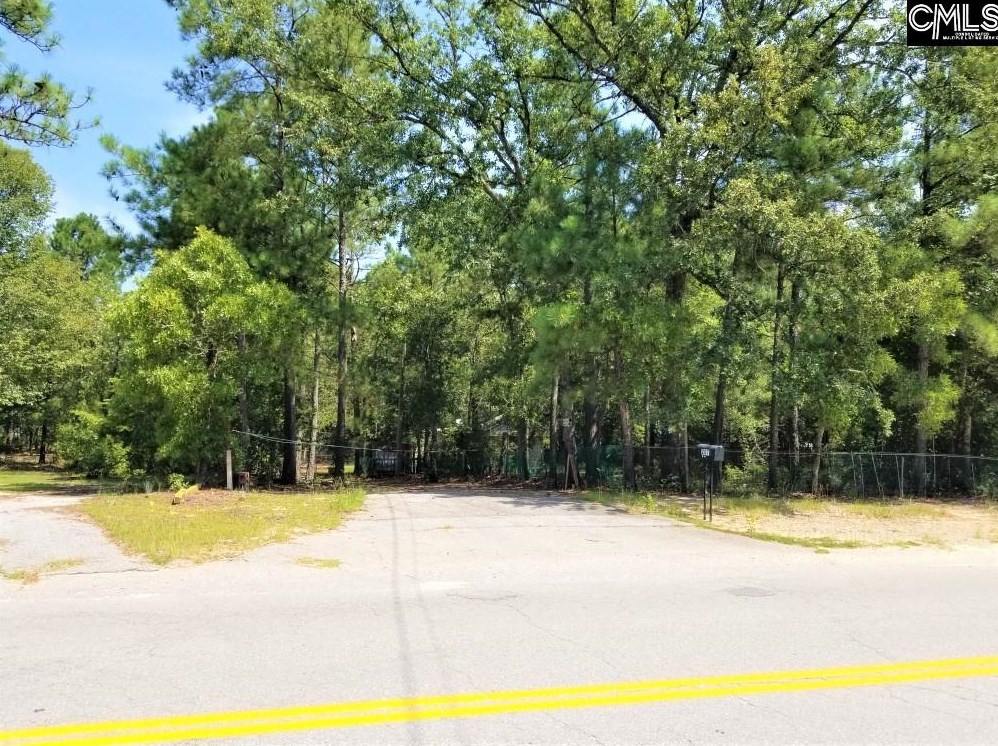 207 Robin Hood Rd, Elgin, SC 29045