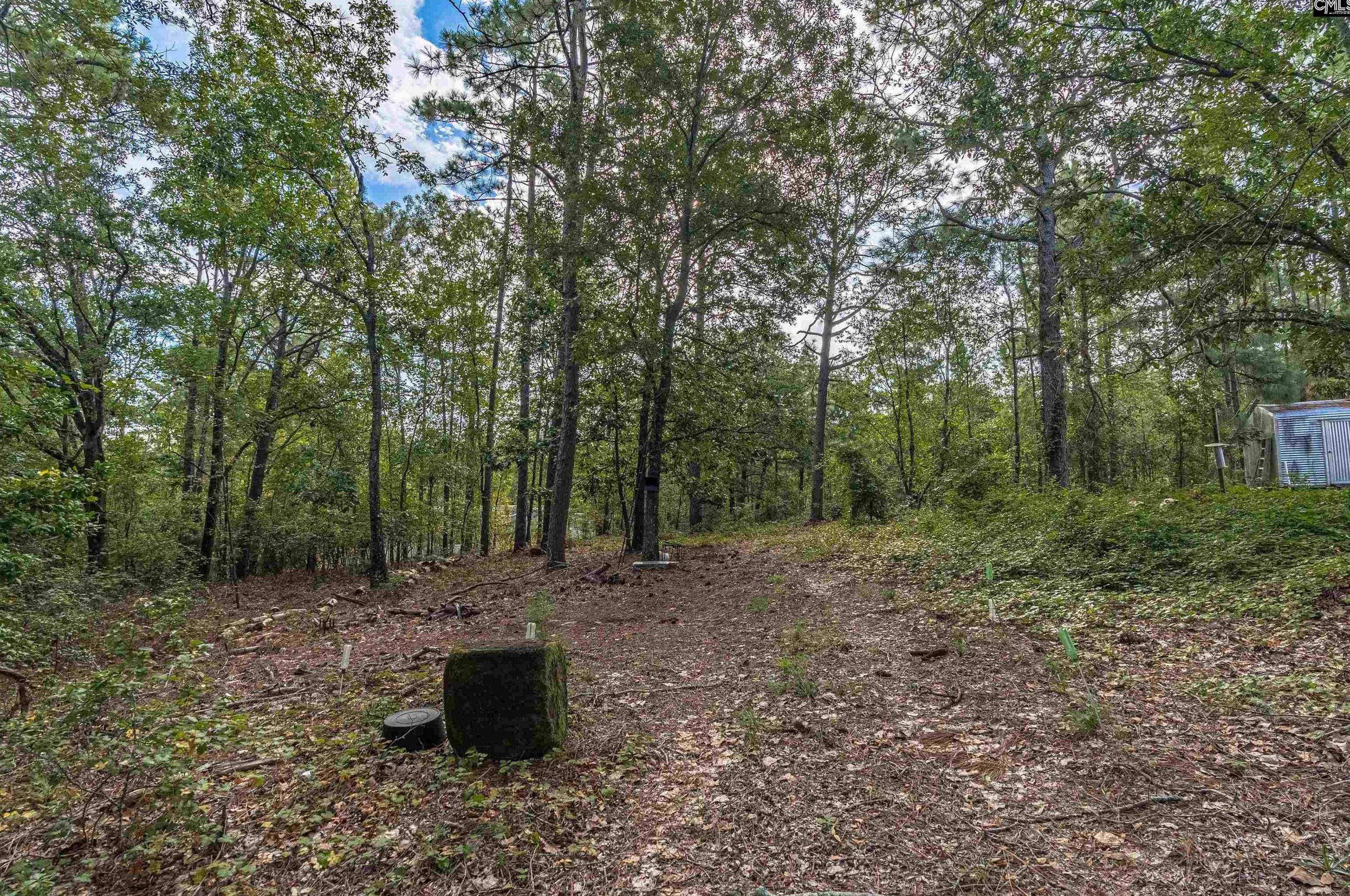 636 Willie Wilson Rd, Wateree, SC 29044
