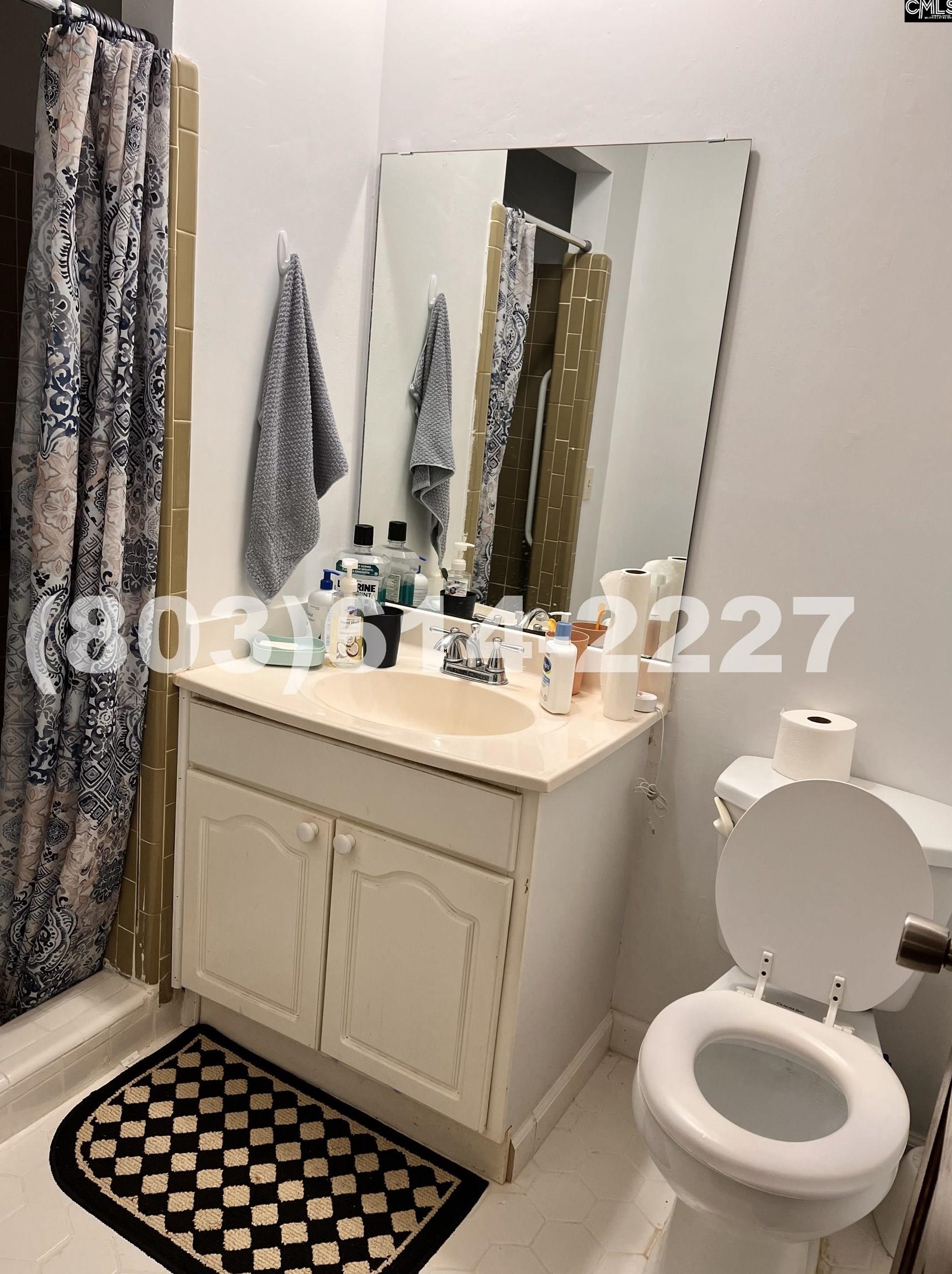 407 Friarsgate Blvd, Irmo SC  29063-2439 exterior