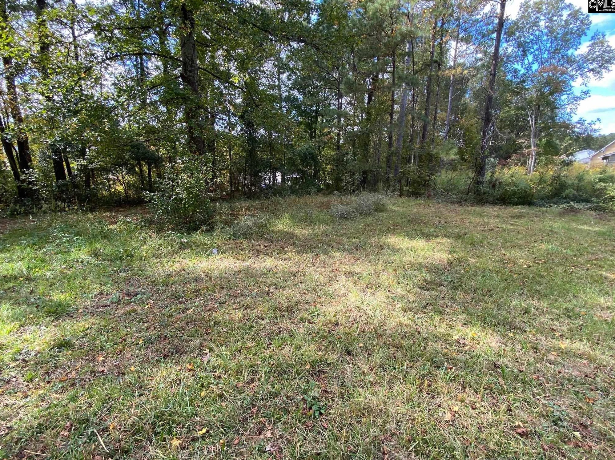 1017 Rockymount Rd, Columbia SC 29203-1123 exterior