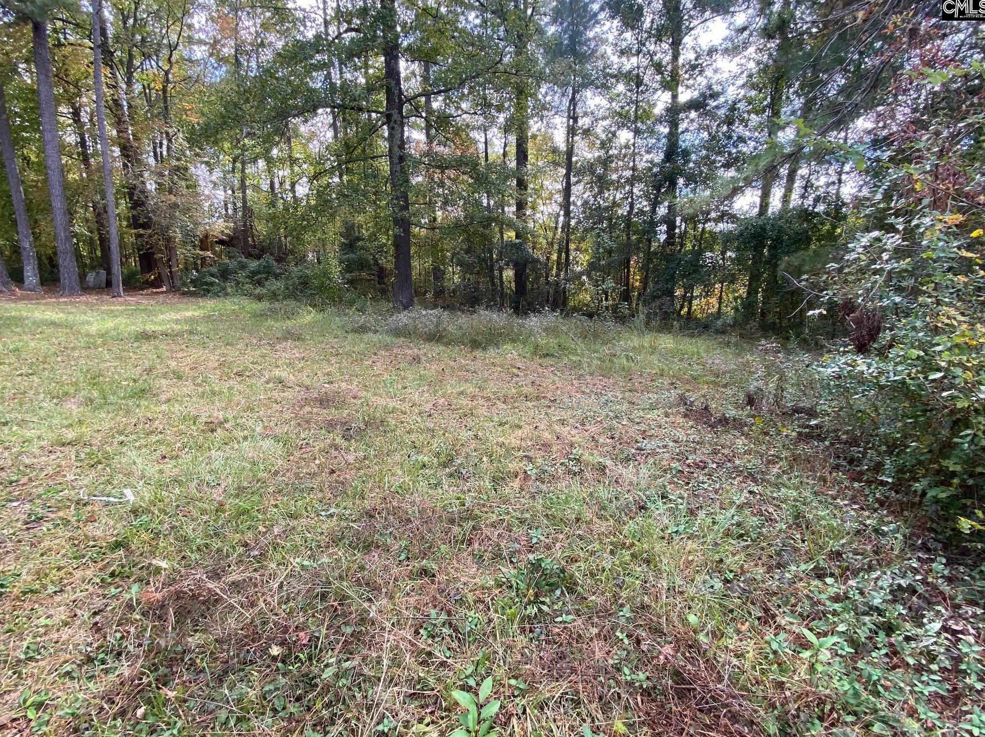 1017 Rockymount Rd, Columbia SC 29203-1123 exterior