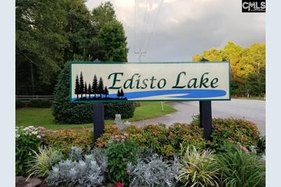 0 Edisto Lake Road - Photo 1