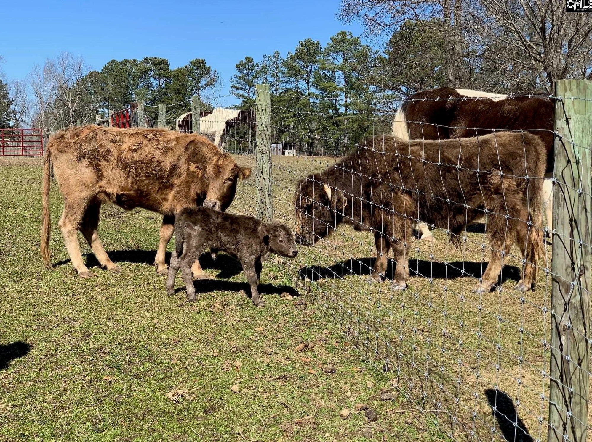 209 Howell Rd, Blythewood SC  29016-9411 exterior