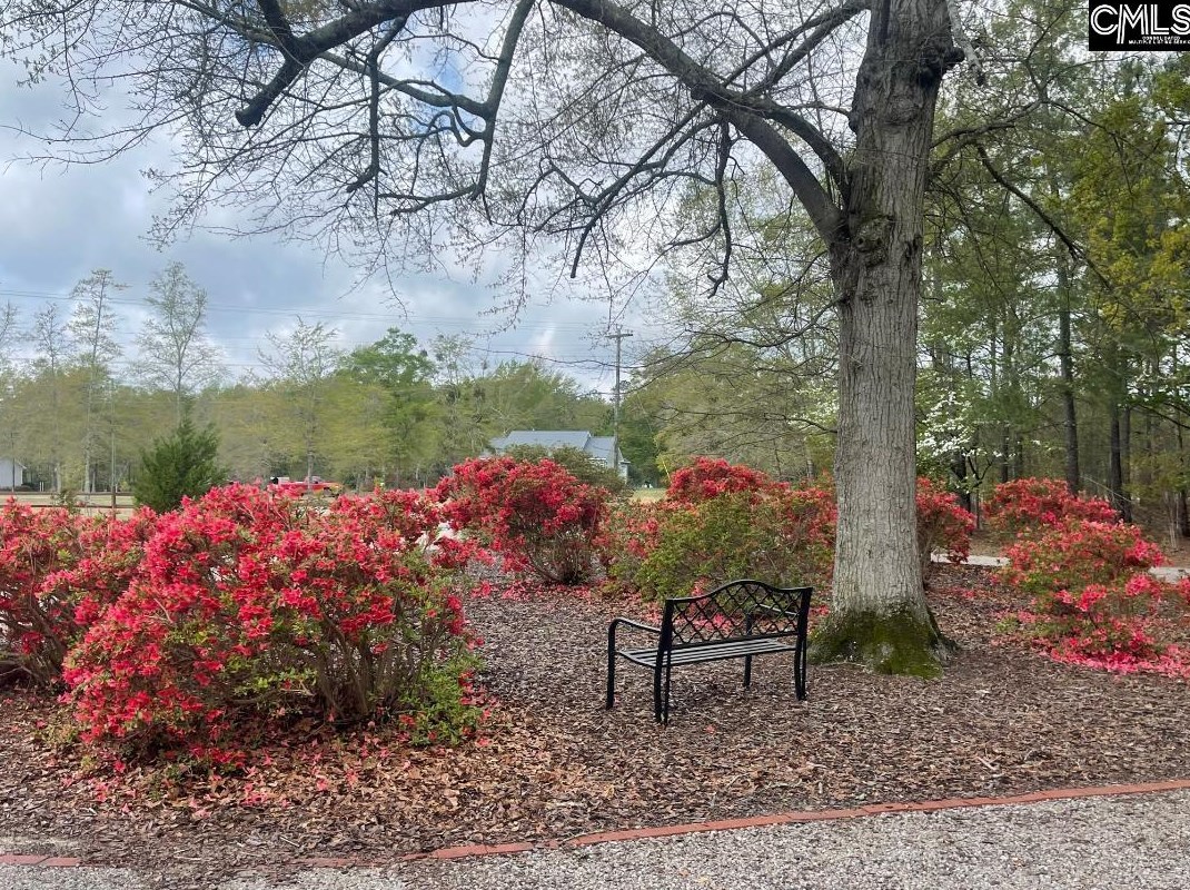 436 Youngs Bend Rd, Kershaw, SC 29067