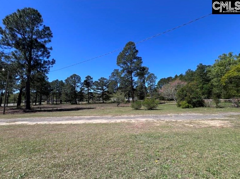 39 Gantt St, New Holland, SC 29164
