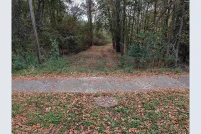 Brown Street, Prosperity, SC 29127 - Photo 1