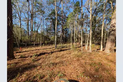 Brown Street, Prosperity, SC 29127 - Photo 2