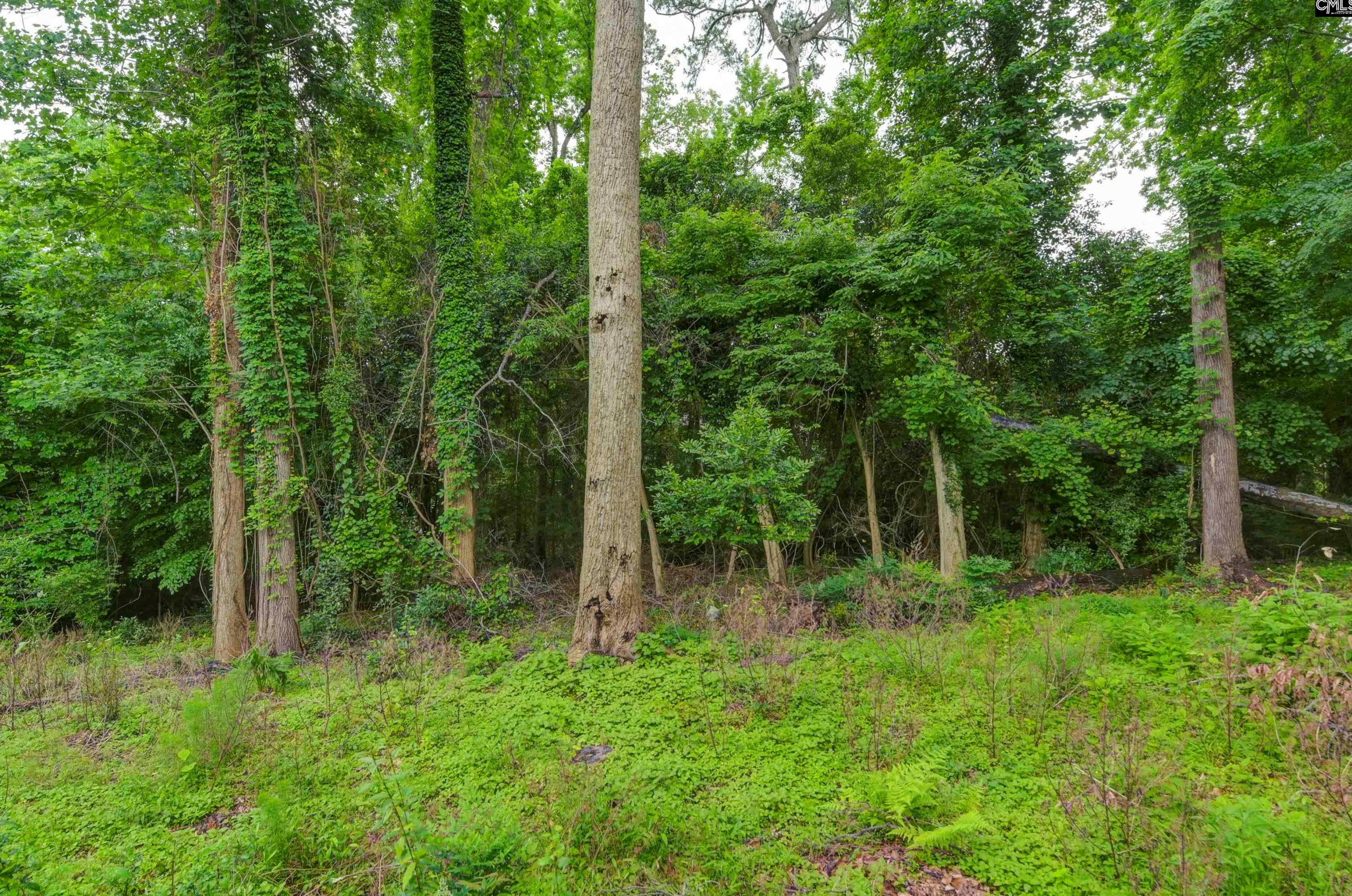 108 Riverhill Ct, Cayce-West Columbia SC  29033-4376 exterior