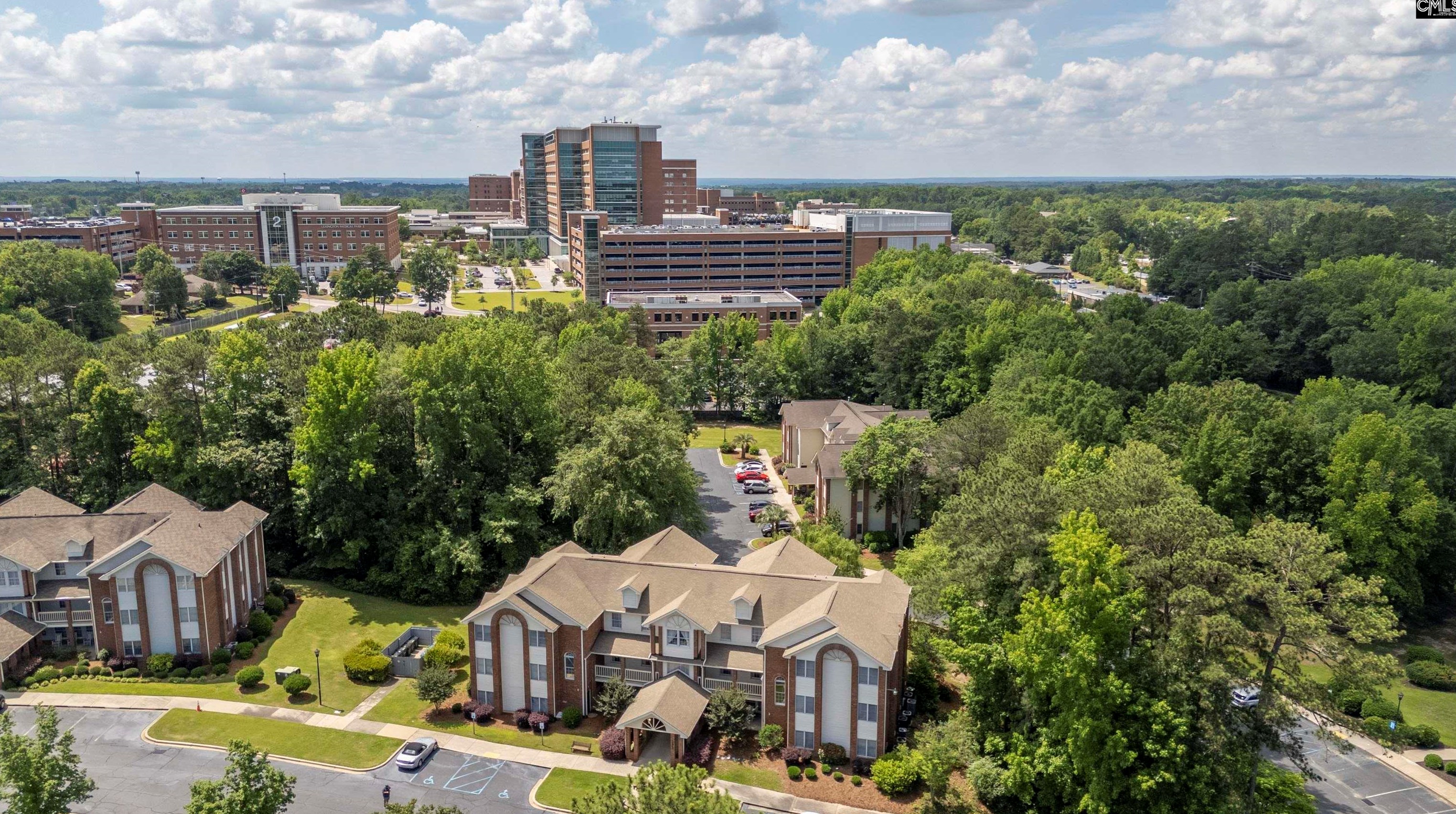 185 Hulon Greene Pl, Cayce-West Columbia SC  29169-4949 exterior