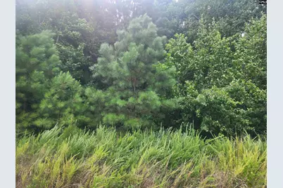 Forest Ridge Drive #26, Newberry, SC 29108 - Photo 1