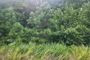 Forest Ridge Dr, Newberry, SC 29108 - Photo 1