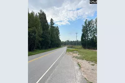 1304 Amicks Ferry Road, Chapin, SC 29036 - Photo 6