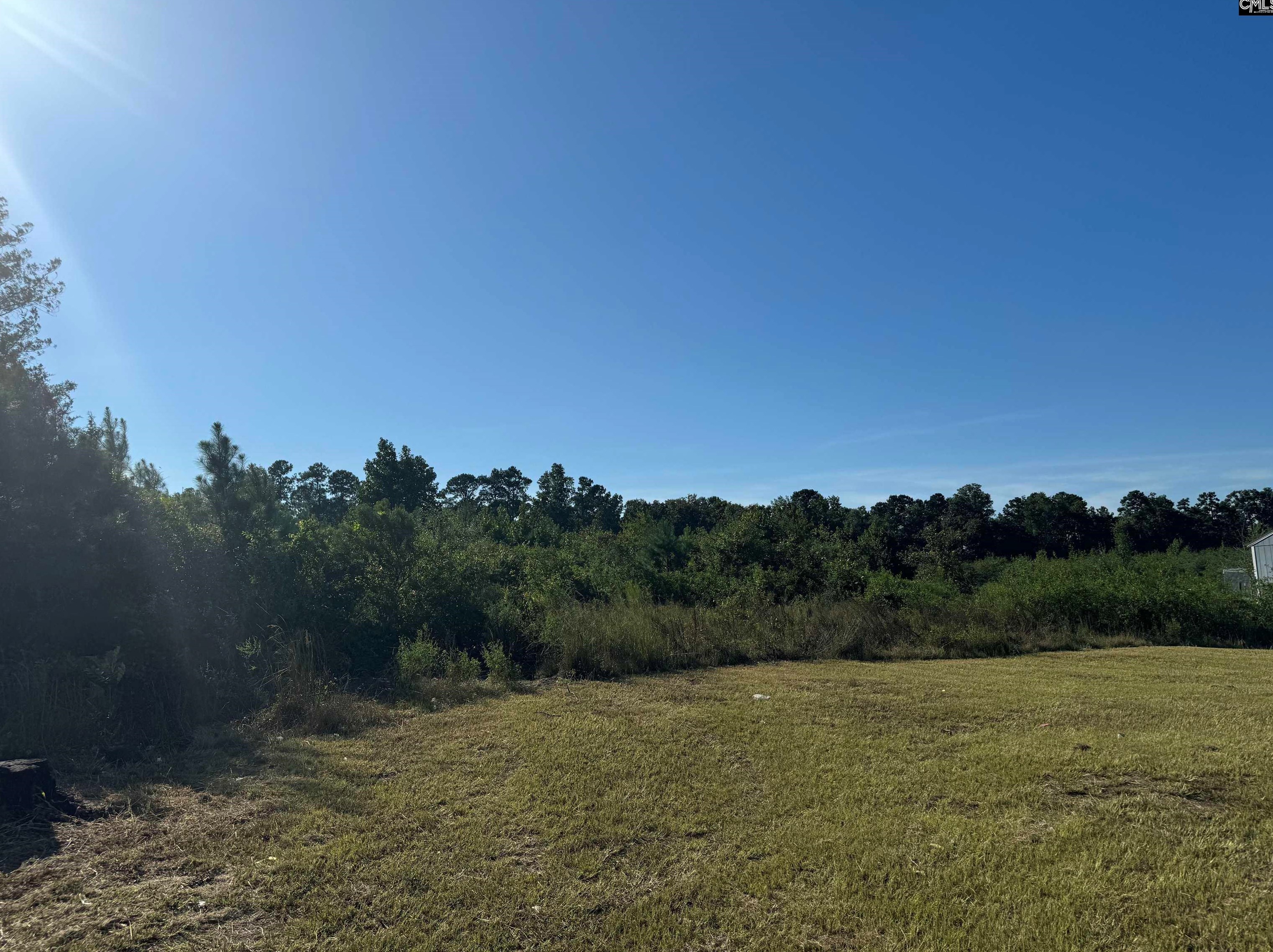 204 Rodeo Dr, Eutawville, SC 29048