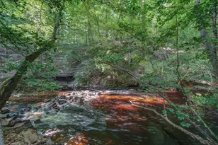 1239 John G Richards Rd, Camden, SC 29020 - Photo 1