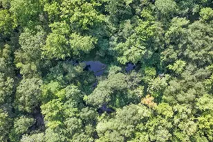 1239 John G Richards Rd, Camden, SC 29020 - Photo 36