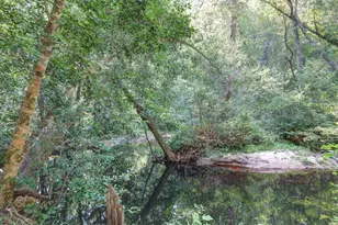 1239 John G Richards Rd, Camden, SC 29020 - Photo 32