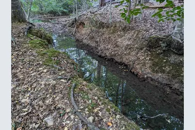 532 Pomaria Street, Little Mountain, SC 29075 - Photo 16