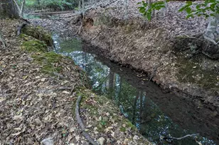 532 Pomaria St, Little Mountain, SC 29075 - Photo 16