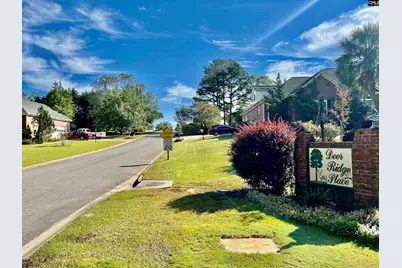 127 Deer Ridge Trail #11, Gilbert, SC 29054 - Photo 8