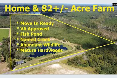 1308 Fire Tower Road, Springfield, SC 29146 - Photo 1