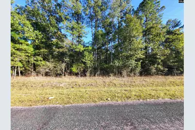 Tbd Catalina Boulevard Lot 7, North, SC 29112 - Photo 1