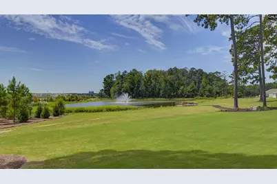 138 Ruby Prince Road, Gilbert, SC 29054 - Photo 4